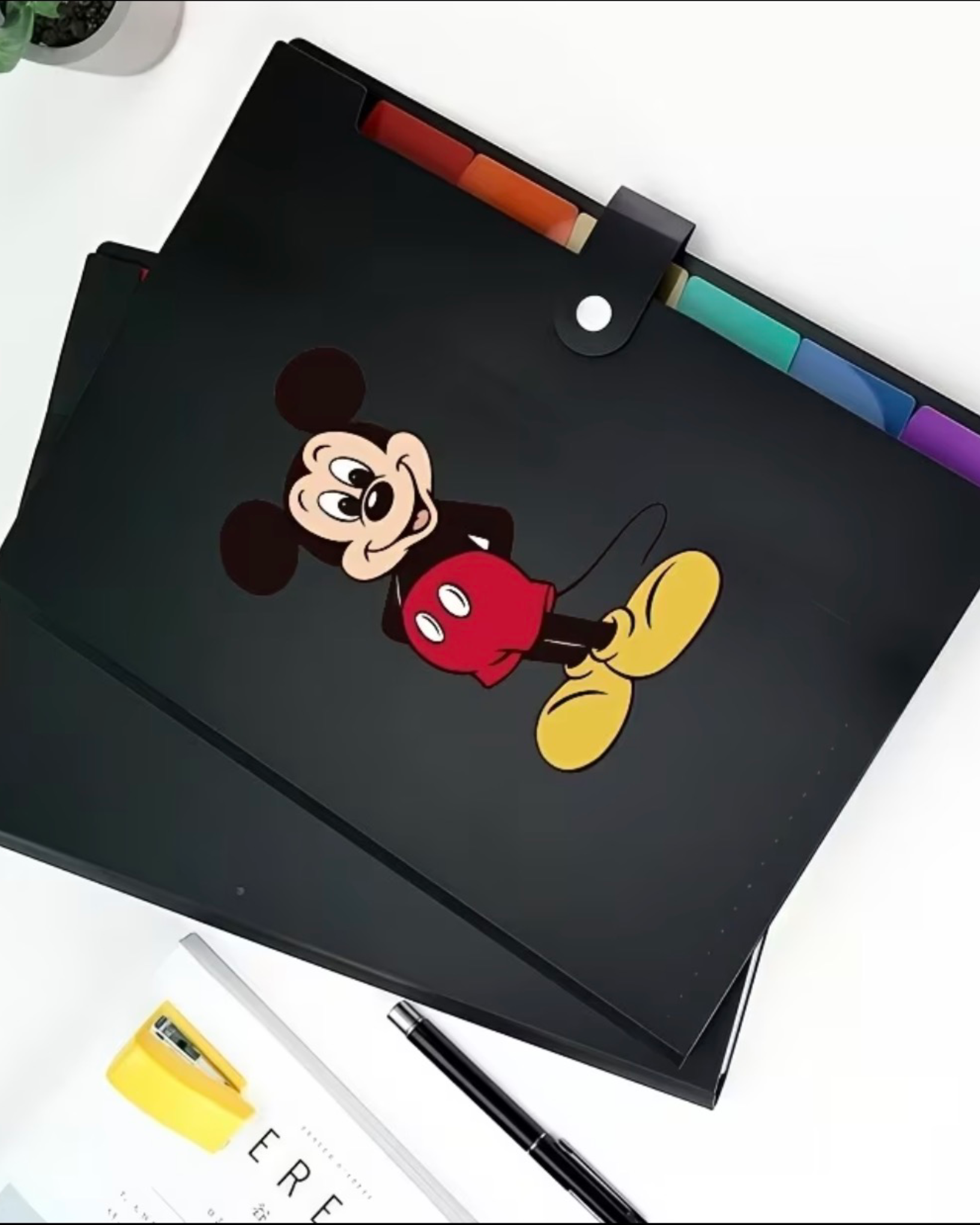 photo-output-18 Mickey Multi-Pocket File Folder - Image 1